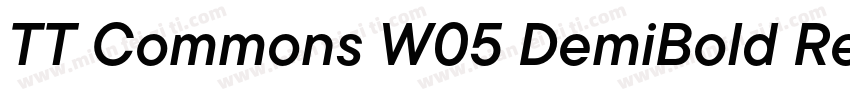 TT Commons W05 DemiBold Regular下载字体转换